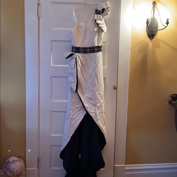 Justin Alexander Wedding Dress #8509 - Picture 13 of 14